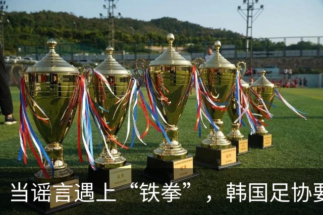 当谣言遇上“铁拳”，韩国足协要出手了！